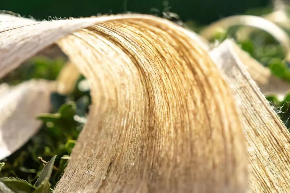 植物纖維及其復合材料應用前景廣闊