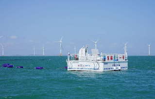 海上風(fēng)電制氫新突破