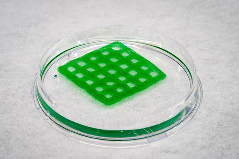 用于污水凈化的工程生物材料