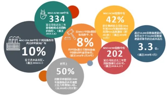 《ESG 信用報告：洞察企業(yè)可持續(xù)發(fā)展的新視角》