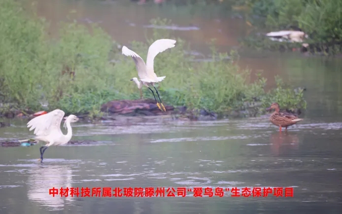 中材科技MSCI ESG評(píng)級(jí)提升，彰顯綠色發(fā)展理念