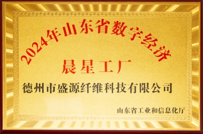 【會員風(fēng)采】德州市盛源纖維科技有限公司——十年櫛風(fēng)沐雨，披荊斬棘；十年勵精圖治，鑄就輝煌。