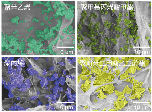 新型全生物質纖維海綿提升水處理能力