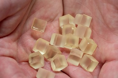 聚焦生物基材料：國際標準與認證的現階段探索